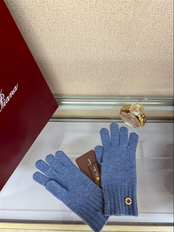 2026116112023895 100